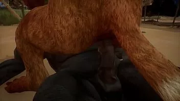 play Rinoceronte llena león con su semen - vida silvestre