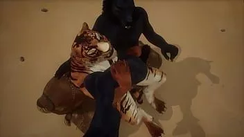 play Wolf und Tiger lieben sich am Strand - Wildtiere