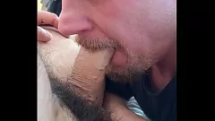Reproduzir Hung gay Stud fica intenso deepthroat blowjob